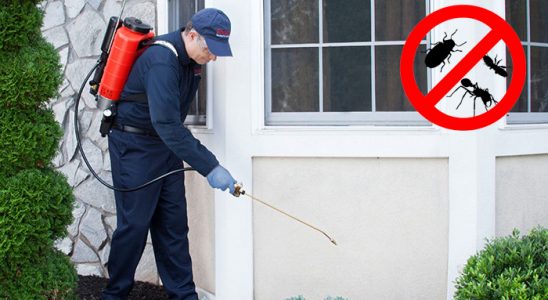 Çeltikçi Böcek İlaçlama böcek ilaçlama ve haşere kontrolü — ilaclama-tr.com